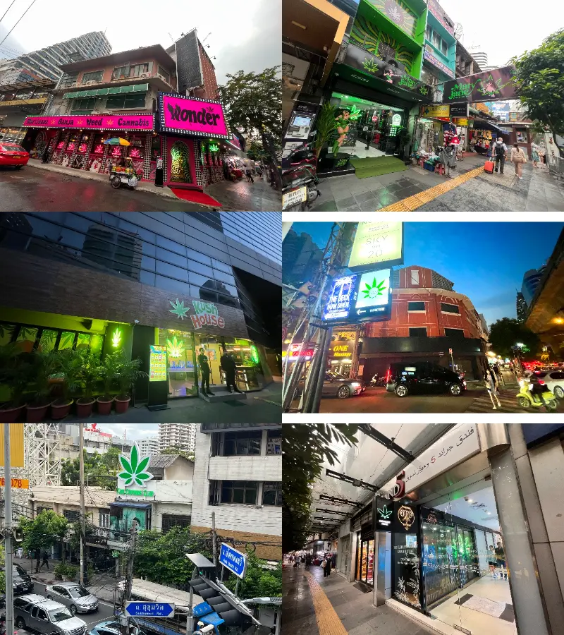 สีสันร้านกัญชาบนถนนสุขุมวิท ร้านกัญชา ถนนสุขุมวิทและกรุงเทพ
